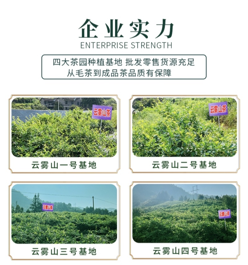 张家界莓茶特级野生龙须芽尖野生藤茶土家神茶茅岩莓茶