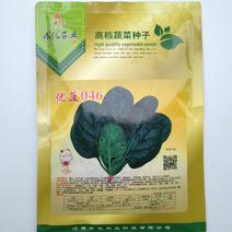 菠菜种子、优菠046250克