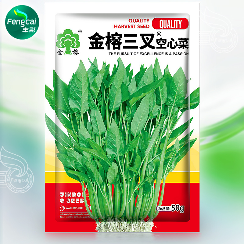 三叉空心菜种子泰国进口特点梗脆嫩春夏秋三季均可播种