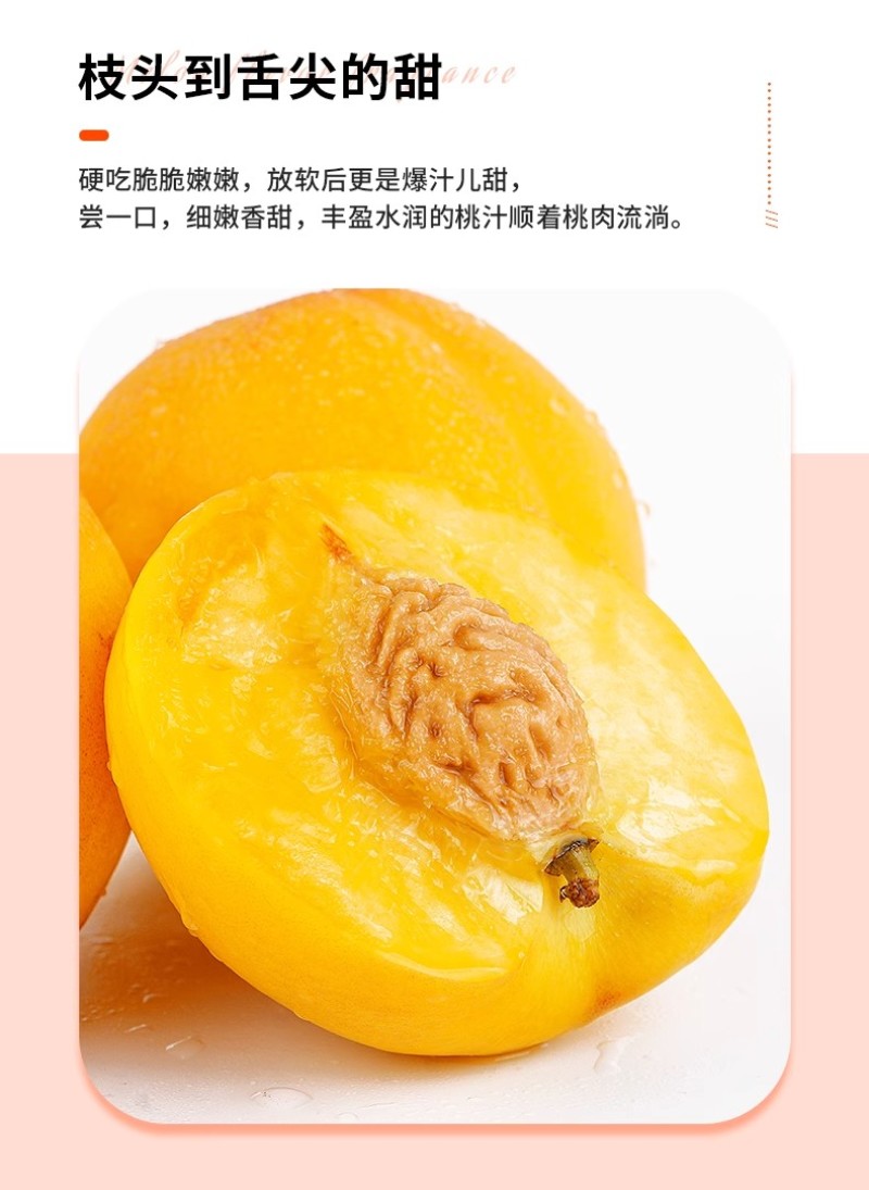 黄油桃大量供应香味足脆甜软糯口感好