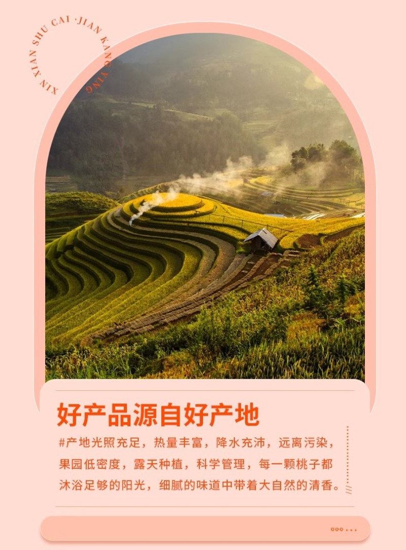 黄油桃大量供应香味足脆甜软糯口感好