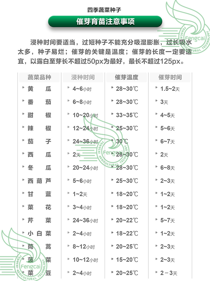 一代杂交优质西兰花种子质嫩味美重500克左右80天