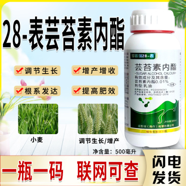 28-表高芸苔素内酯冬小麦增产植物调节生长剂
