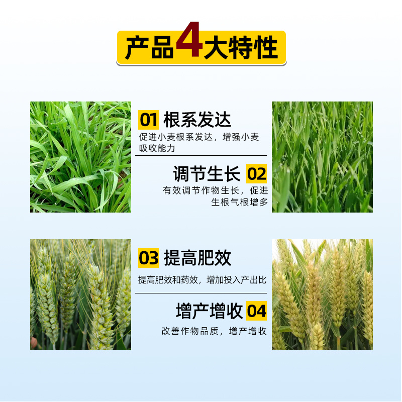 28-表高芸苔素内酯冬小麦增产植物调节生长剂