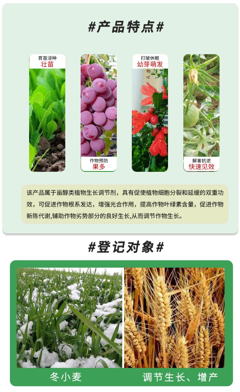 28-表高芸苔素内酯冬小麦增产植物调节生长剂