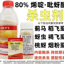 厂家直发:80%烯啶吡蚜酮稻飞虱农用杀虫剂