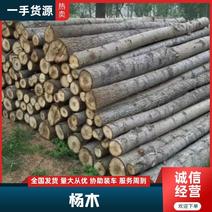 【原木】杨木杨树原木木厂直发品质保证欢迎咨询
