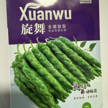 旋舞螺丝椒种子全螺旋型高品质螺丝椒