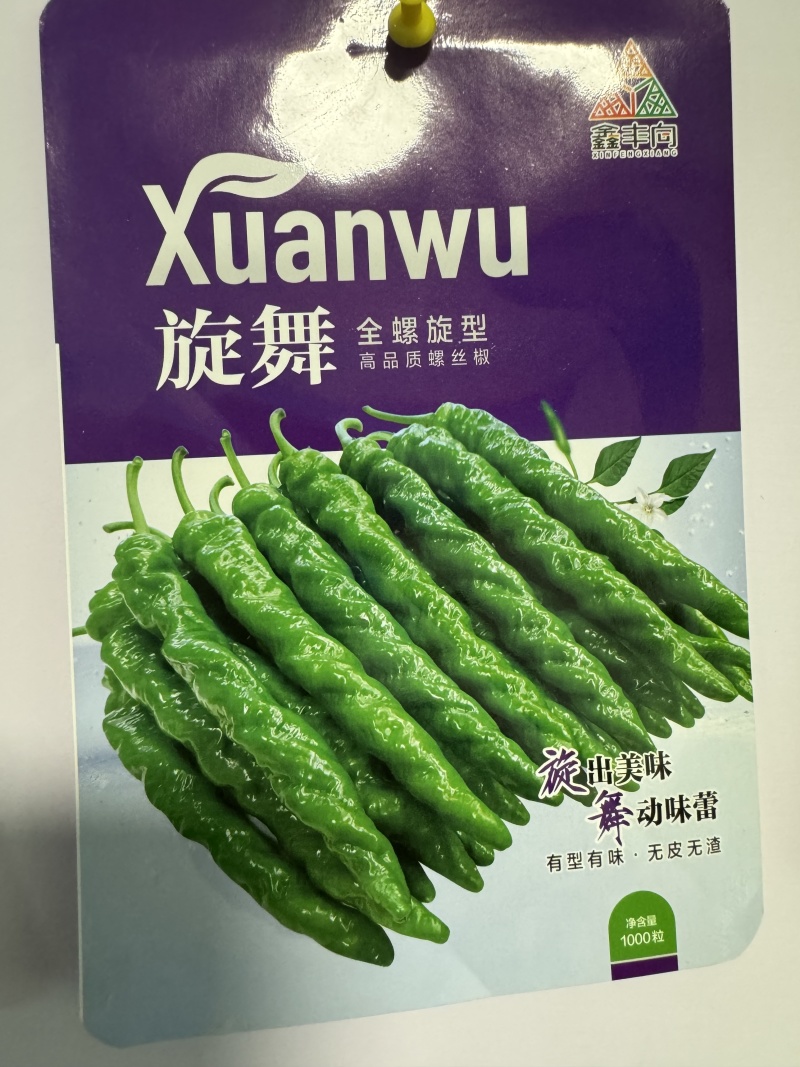 旋舞螺丝椒种子全螺旋型高品质螺丝椒