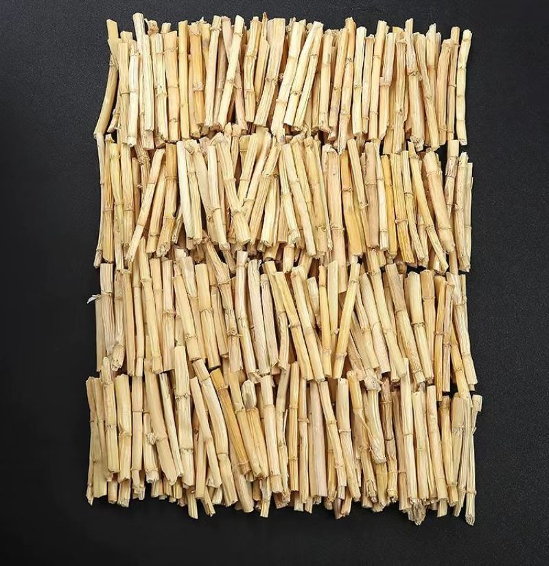 白茅根（白刀草）