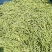 芸豆辽宁白不老大量上市中可发全国，支持视频看货