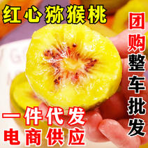 24年丨红心猕猴桃一件代发四川蒲江猕猴桃产地直发供应