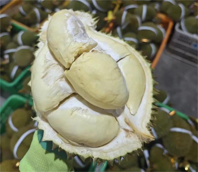 榴莲电商一件代发，全平台对接淘宝，**，拼多多，直播