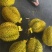榴莲电商一件代发,全平台对接淘宝,**,拼多多,直播