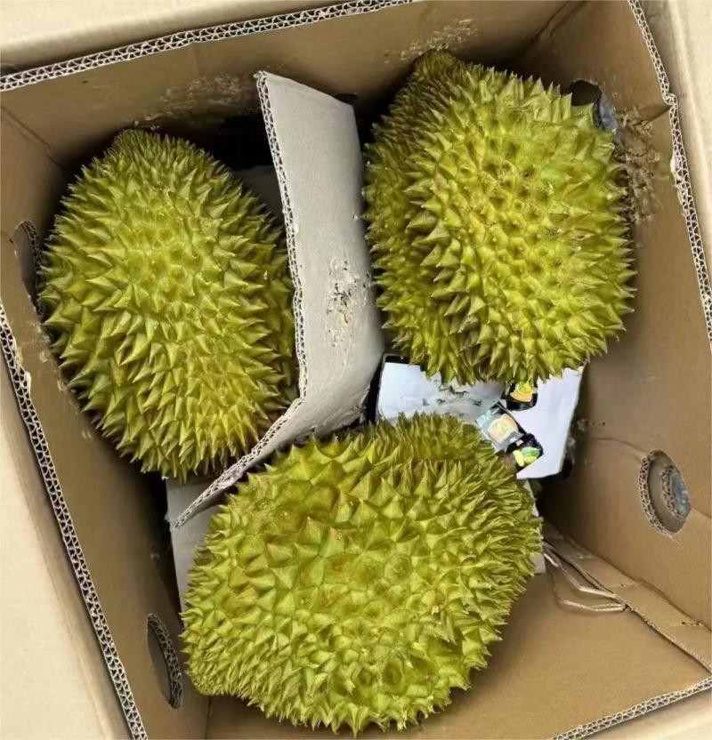 榴莲电商一件代发，全平台对接淘宝，**，拼多多，直播