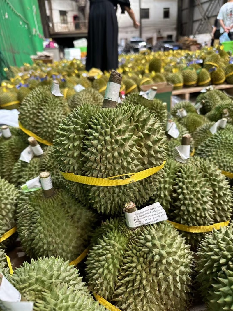 榴莲电商一件代发，直播带货，招代理，电商微商