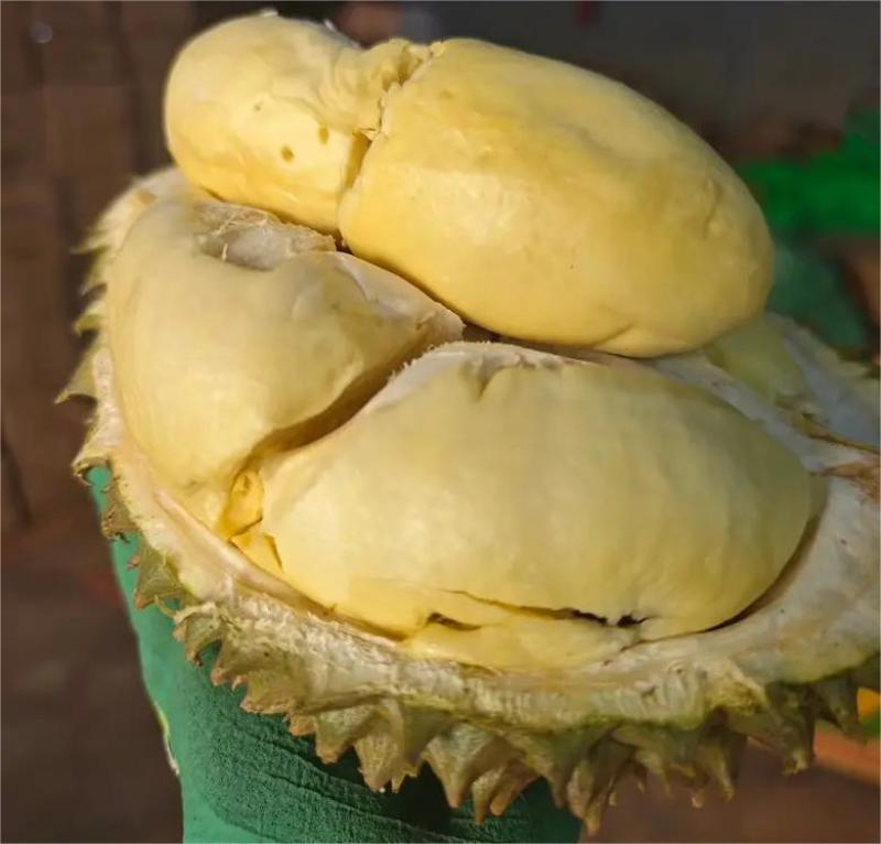 榴莲电商一件代发，直播带货，招代理，电商微商