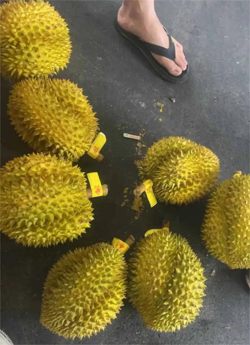 榴莲电商一件代发，直播带货，招代理，电商微商