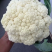甘肃菜花已大量上市，欢迎资，价格合理，质量保讧