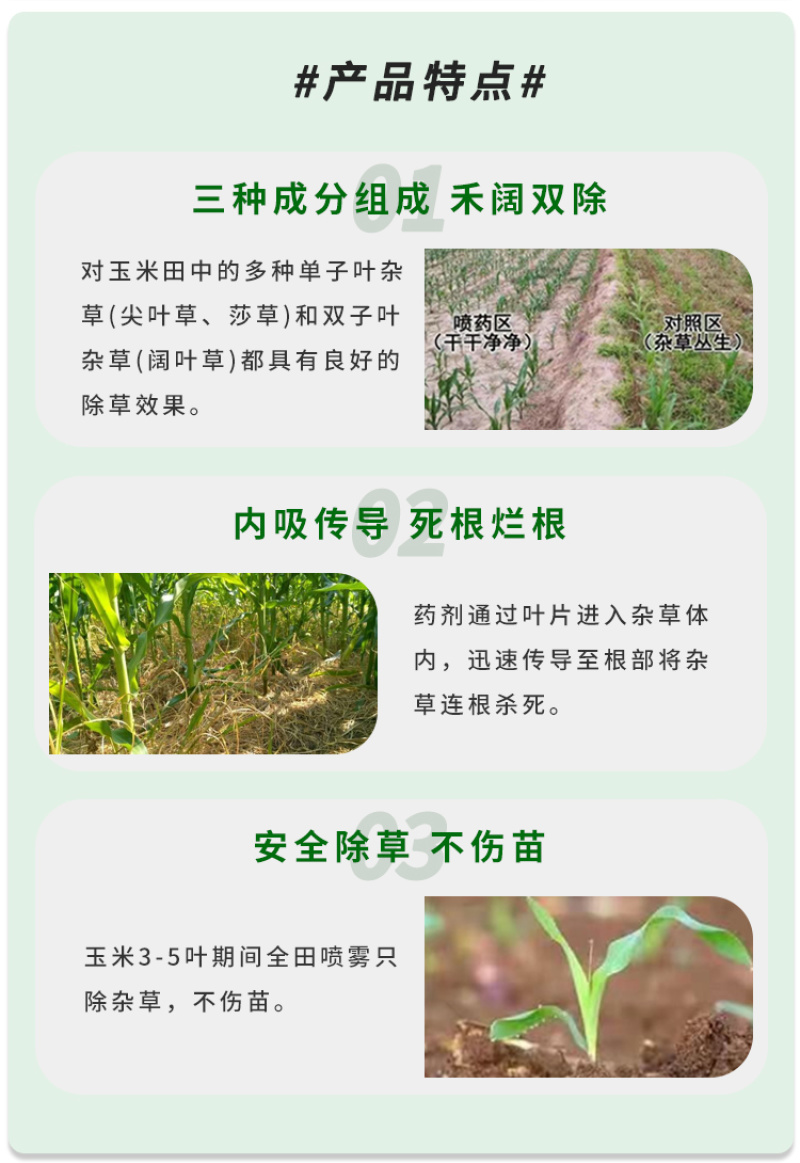 36%硝烟莠去津农药春玉米田专治一年生杂草除草剂