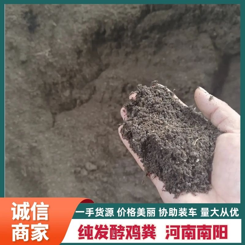 【实力推荐】南阳发酵纯鸡粪专业养殖场基地可代发全国