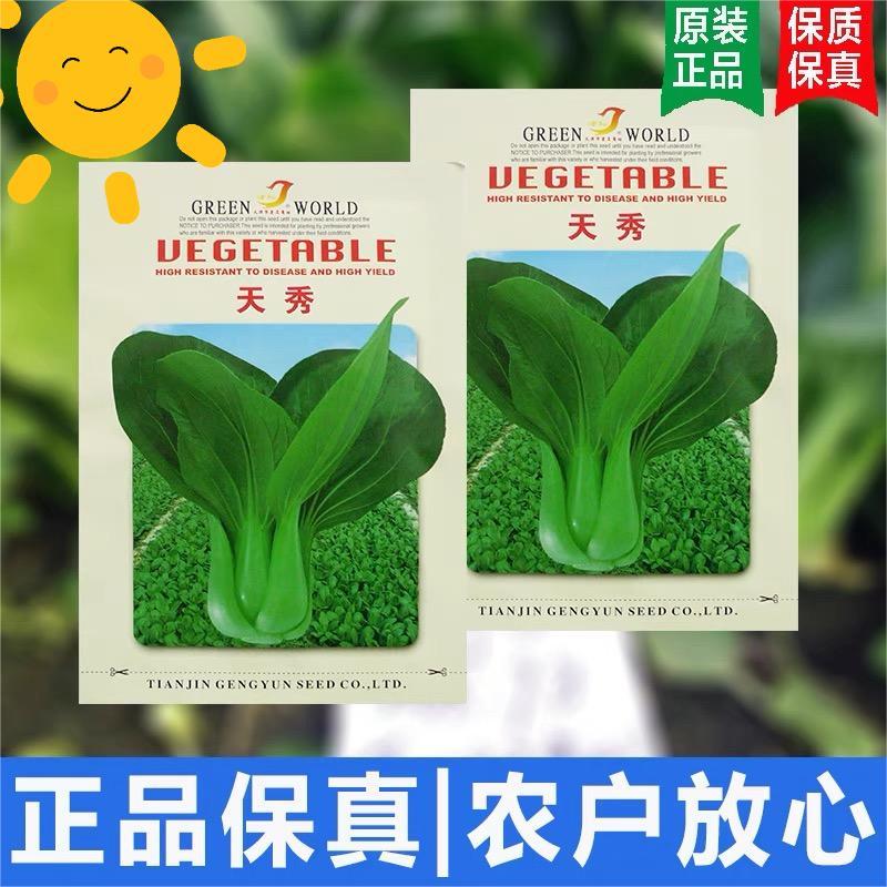 夏季可种抗热上海青种子小青菜种孑小白菜小油菜种子蔬菜种