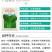 夏季可种抗热上海青种子小青菜种孑小白菜小油菜种子蔬菜种