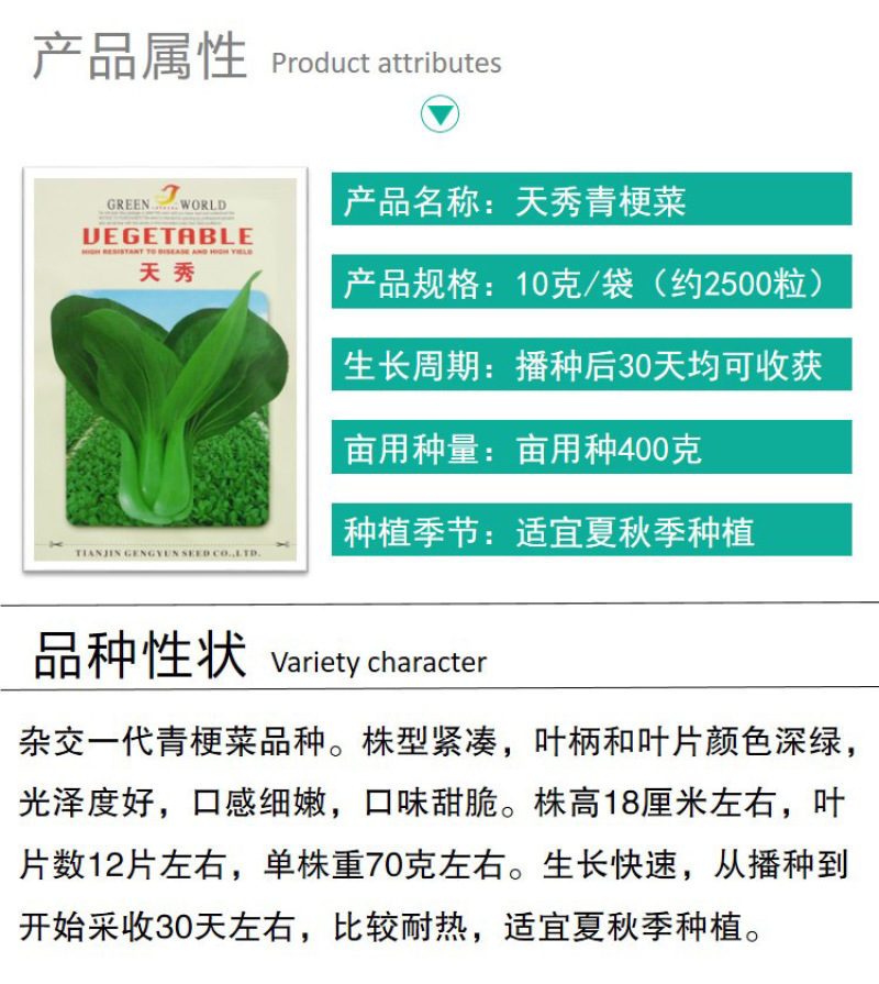 夏季可种抗热上海青种子小青菜种孑小白菜小油菜种子蔬菜种