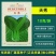 夏季可种抗热上海青种子小青菜种孑小白菜小油菜种子蔬菜种