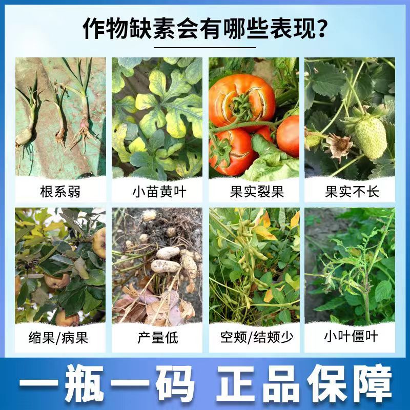 钙镁硼锌铁钼防裂果膨果转色增甜叶面肥中微量元素水溶肥