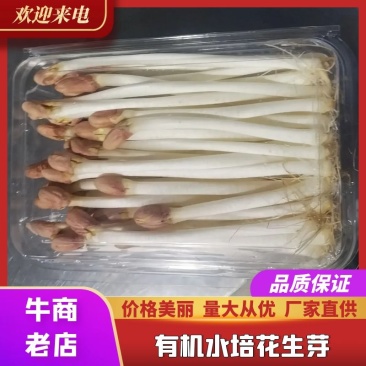 袋装/盒装精品花生芽按需包装对接各大商超市场社区团购