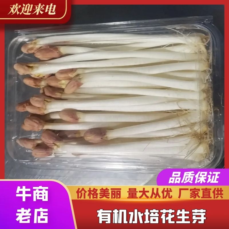 袋装/盒装精品花生芽按需包装对接各大商超市场社区团购