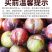 凤凰李一件代发五月脆空心李子脱骨脆红李