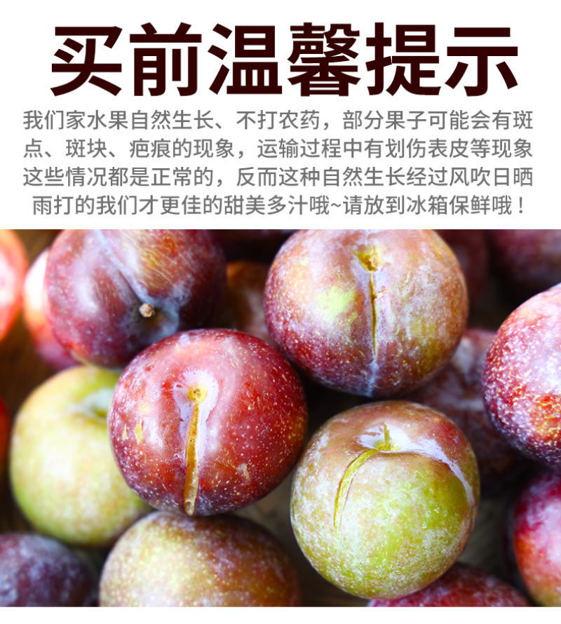 凤凰李一件代发五月脆空心李子脱骨脆红李