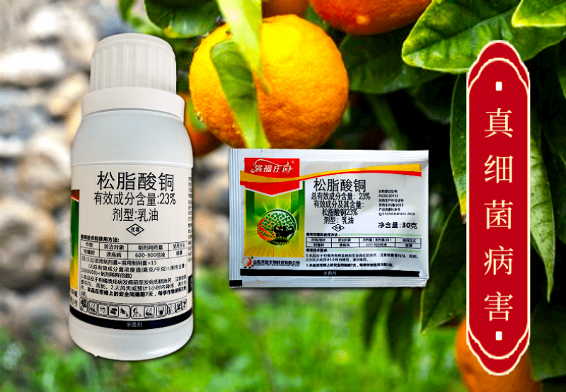 23%松脂酸铜绿乳有机铜溃疡病软腐病根腐病活性杀菌快