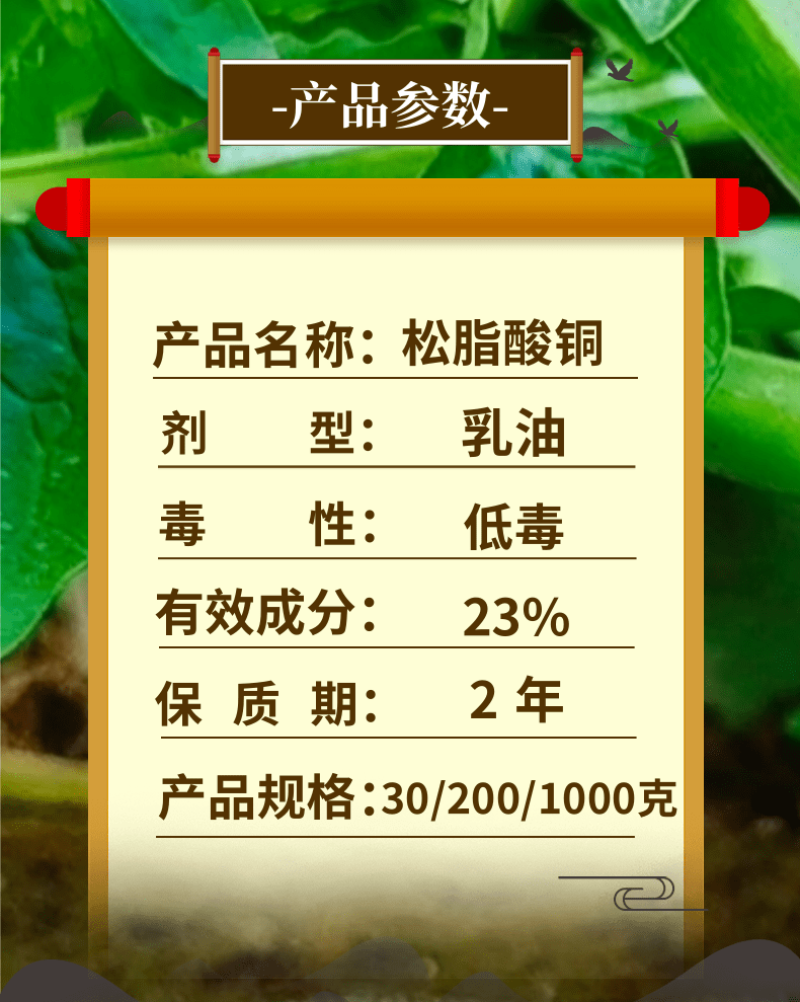 23%松脂酸铜绿乳有机铜溃疡病软腐病根腐病活性杀菌快