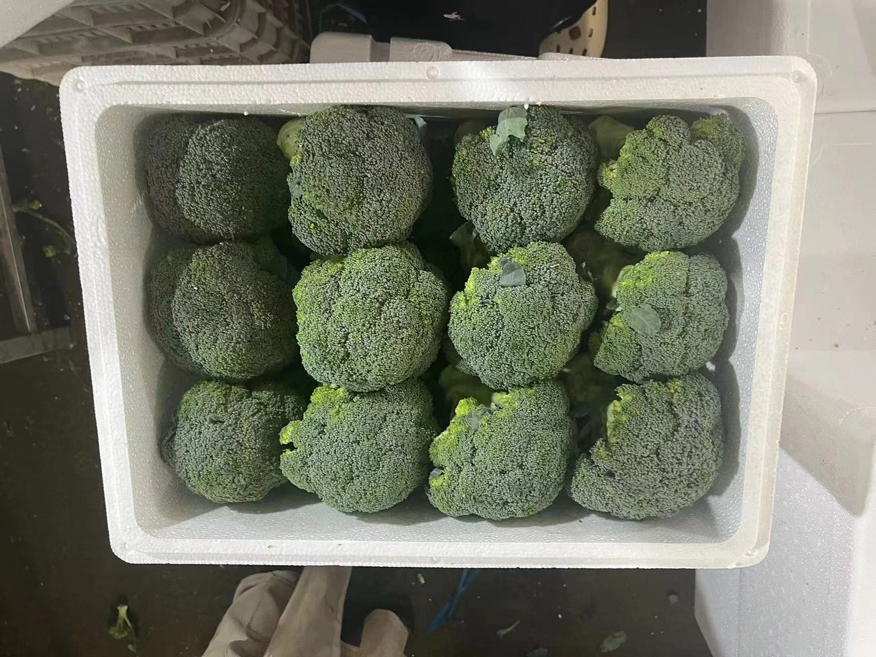 超市冷柜中娃娃菜与西兰花陈列实拍对比