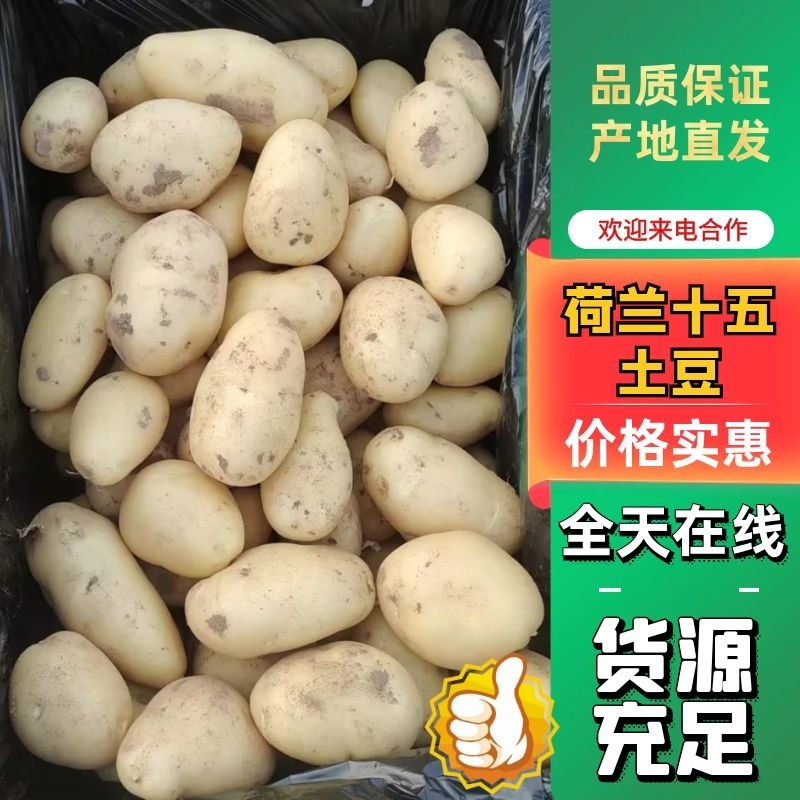出口土豆，外贸土豆，超市市场土豆，黄心一级土豆，山东