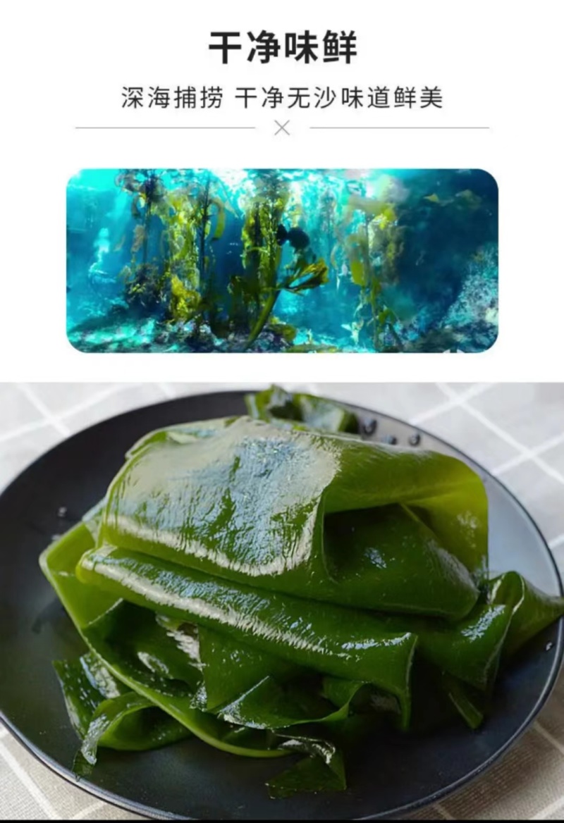 皓达大连裙带菜麻辣烫关东煮火锅串串冒菜商用食材
