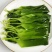 皓达火锅海带嫩苗麻辣烫关东煮火锅串串冒菜商用食材