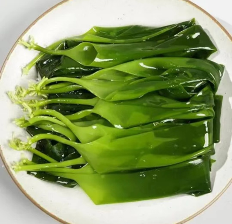 皓达火锅海带嫩苗麻辣烫关东煮火锅串串冒菜商用食材