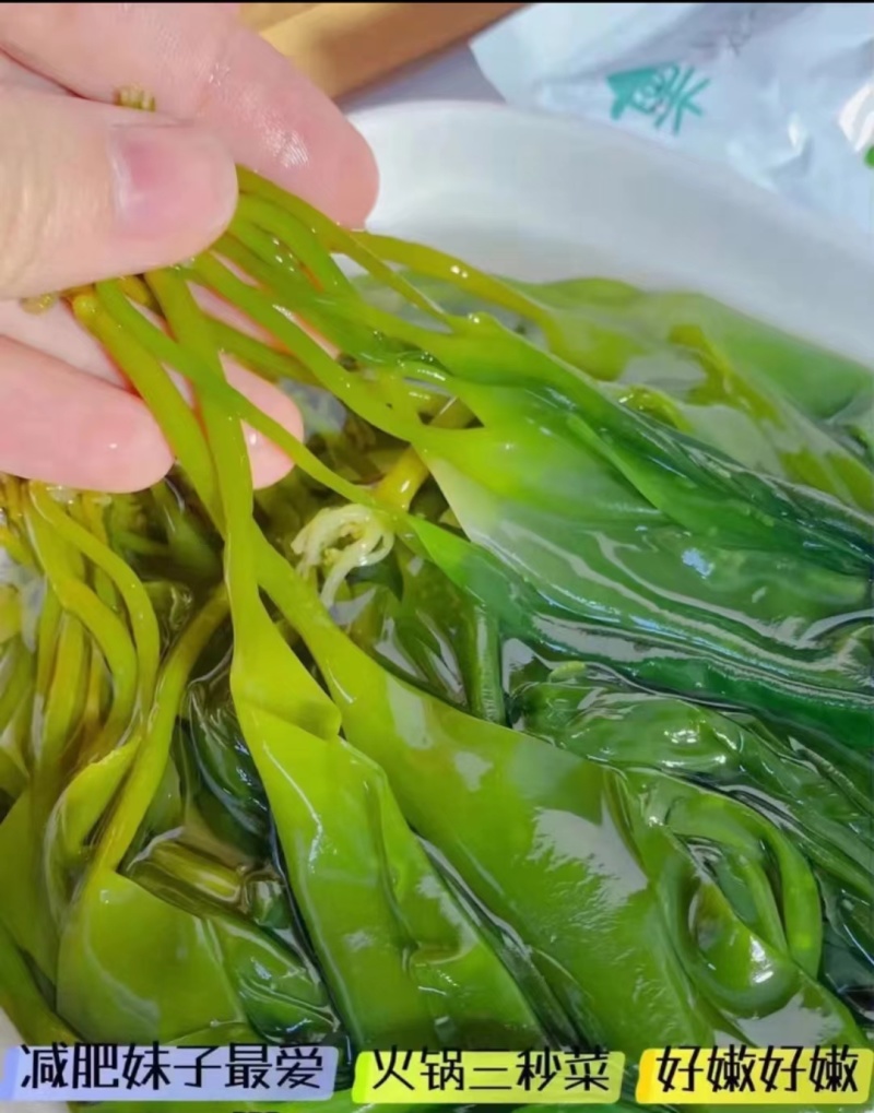 皓达火锅海带嫩苗麻辣烫关东煮火锅串串冒菜商用食材
