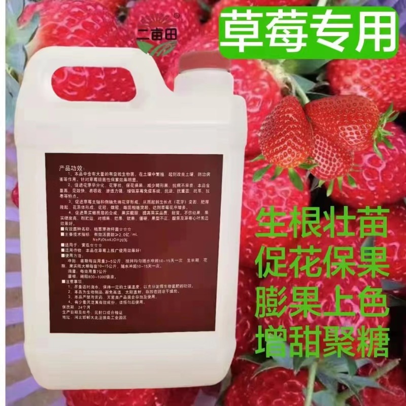 复合微生物肥料生根壮苗促花保果膨果上色增甜聚糖