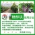 糖醇镁增糖着色糖醇镁増产増质