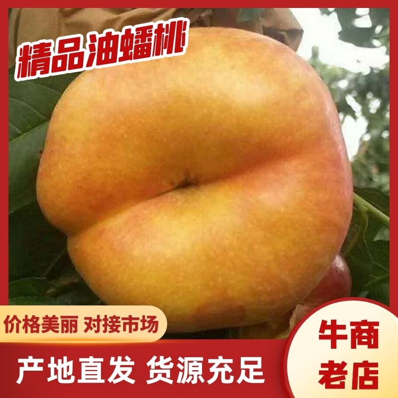 精品桃，油蟠桃，一手货源产地直销诚信经营品质保证