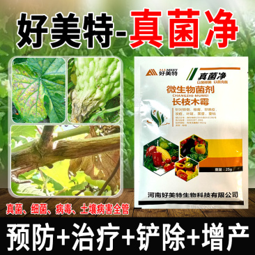 真菌净专治水稻黄瓜纹枯病炭疽病正品杀菌剂