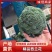 精品西兰花，美青西兰花产地直发，量大从优新鲜采摘欢迎