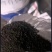 根腐微生物菌剂，生产厂家发货，量大优惠