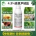 4.3%高氯甲维盐菜青虫食心虫钻心虫杀虫杀卵持效期杀虫剂