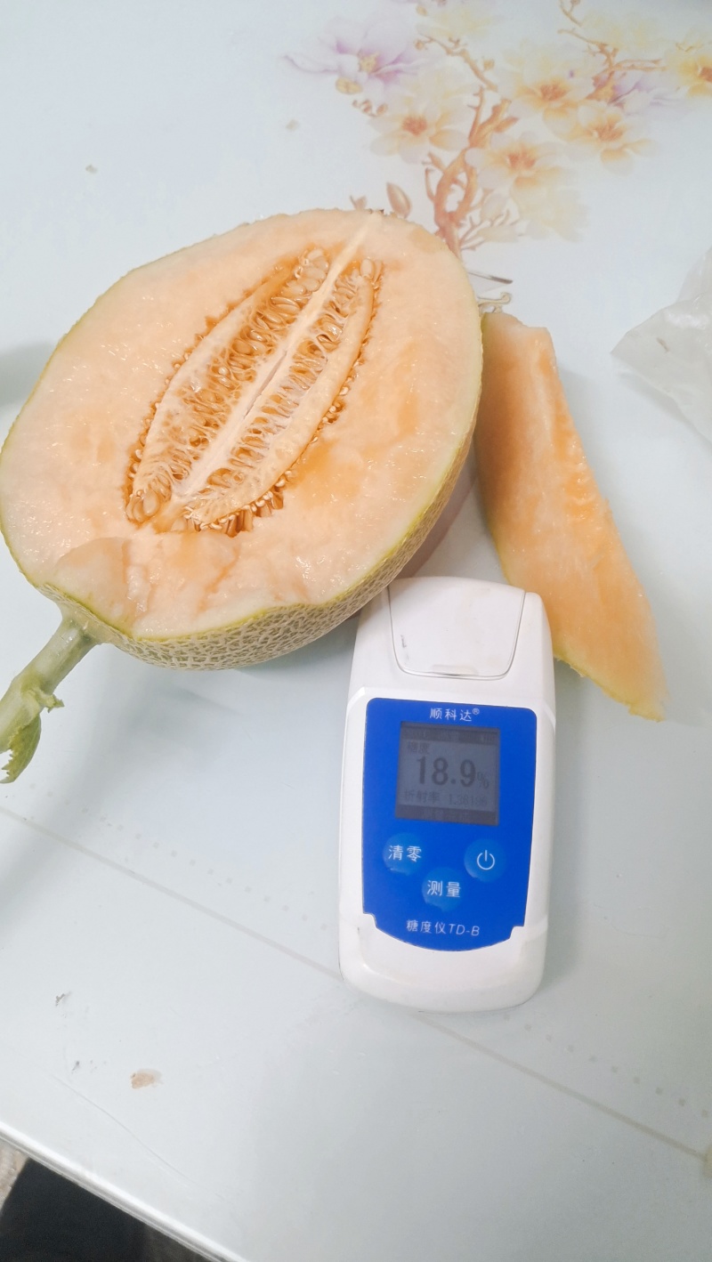 【质优价廉】山东精品哈密瓜价格实惠代发全国甜度高多汁